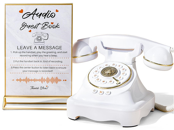 Unique audio guestbook
