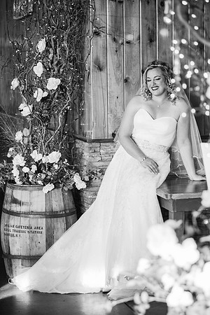 Farmington NY Bride