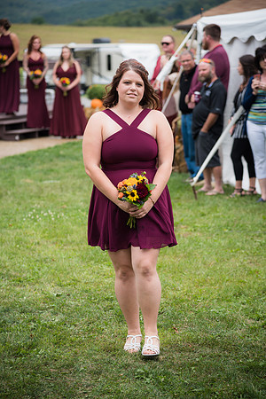 Porcaro Wedding-20