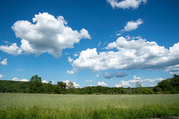 Finger Lakes Field